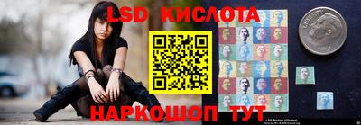 прущие грибы Нальчик