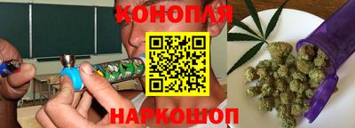 прущие грибы Нальчик