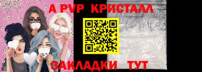 прущие грибы Нальчик