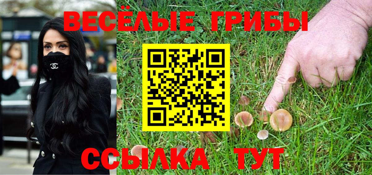 Псилоцибиновые грибы MAGIC MUSHROOMS Советская Гавань
