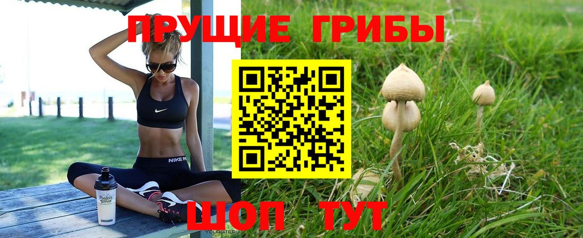 Псилоцибиновые грибы мухоморы  Вход с VPN  Советская Гавань  Галлюциногенные грибы мицелий 